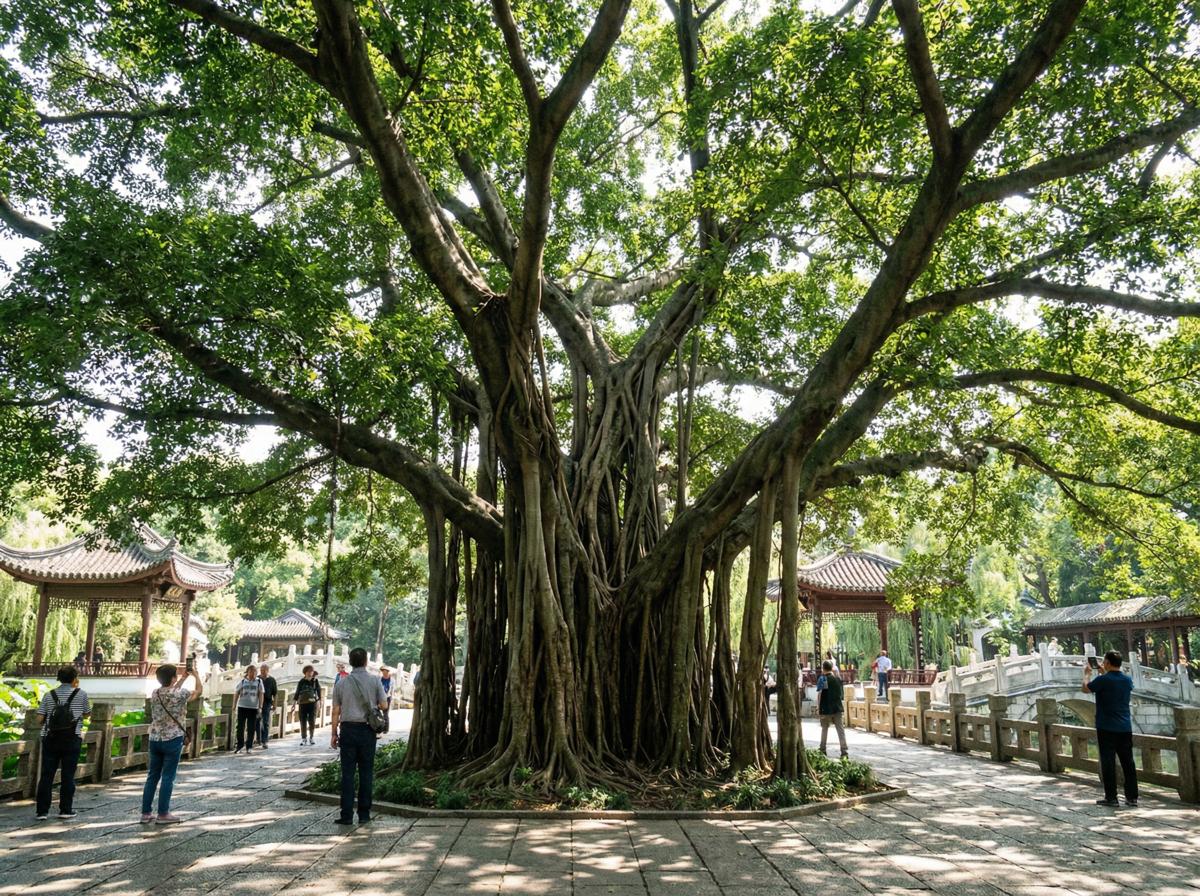 国产视频社区顾问王雅琴